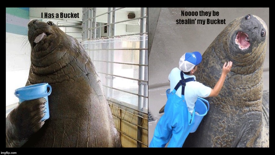 I had a bucket | image tagged in i had a bucket | made w/ Imgflip meme maker