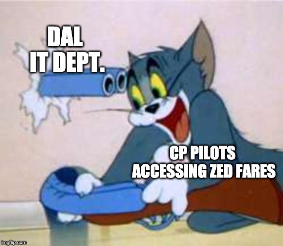 tom the cat shooting himself  | DAL IT DEPT. CP PILOTS ACCESSING ZED FARES | image tagged in tom the cat shooting himself | made w/ Imgflip meme maker