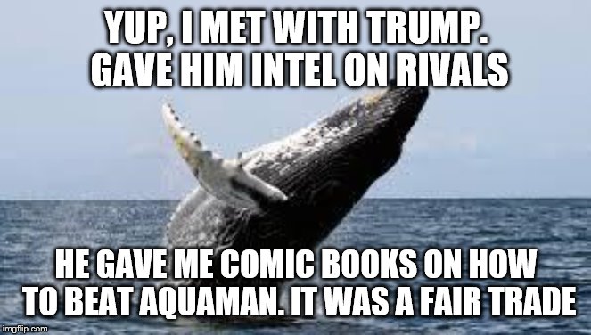 Whale. | YUP, I MET WITH TRUMP. GAVE HIM INTEL ON RIVALS; HE GAVE ME COMIC BOOKS ON HOW TO BEAT AQUAMAN. IT WAS A FAIR TRADE | image tagged in whale | made w/ Imgflip meme maker