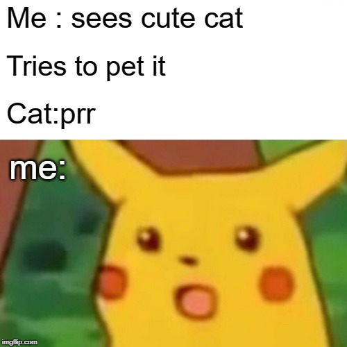 Surprised Pikachu | Me : sees cute cat; Tries to pet it; Cat:prr; me: | image tagged in memes,surprised pikachu | made w/ Imgflip meme maker