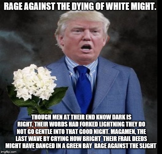 rage | RAGE AGAINST THE DYING OF WHITE MIGHT. THOUGH MEN AT THEIR END KNOW DARK IS RIGHT, THEIR WORDS HAD FORKED LIGHTNING THEY DO NOT GO GENTLE INTO THAT GOOD NIGHT. MAGAMEN, THE LAST WAVE BY CRYING HOW BRIGHT 
THEIR FRAIL DEEDS MIGHT HAVE DANCED IN A GREEN BAY
 RAGE AGAINST THE SLIGHT | image tagged in walt whitman,trump,maga | made w/ Imgflip meme maker