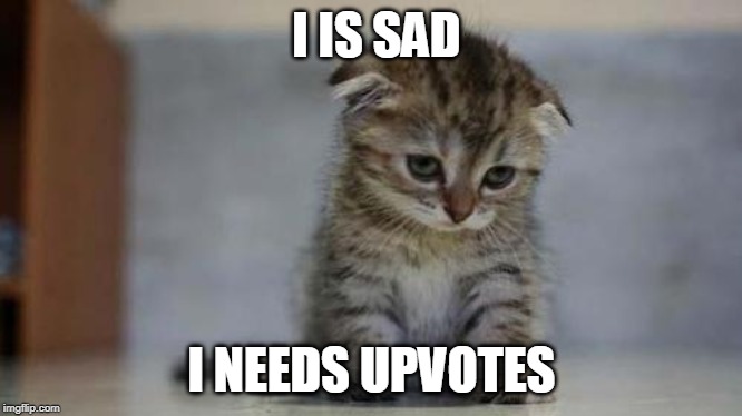 Just one upvote a day will keep this kitten happy | I IS SAD; I NEEDS UPVOTES | image tagged in sad kitten | made w/ Imgflip meme maker