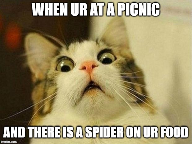 Scared Cat Meme | WHEN UR AT A PICNIC; AND THERE IS A SPIDER ON UR FOOD | image tagged in memes,scared cat | made w/ Imgflip meme maker