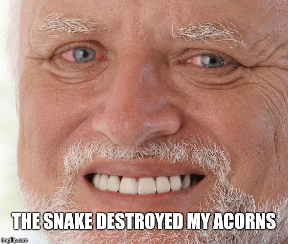 Hide the Pain Harold | THE SNAKE DESTROYED MY ACORNS | image tagged in hide the pain harold | made w/ Imgflip meme maker