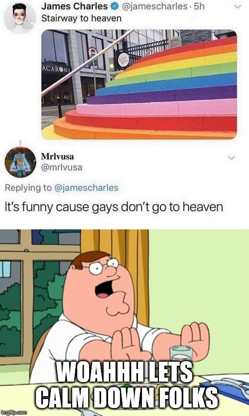 Damn thats hilarious | WOAHHH LETS CALM DOWN FOLKS | image tagged in peter griffin woah | made w/ Imgflip meme maker