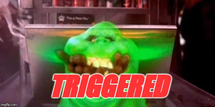 Slimer hot dogs | TRIGGERED | image tagged in slimer hot dogs | made w/ Imgflip meme maker