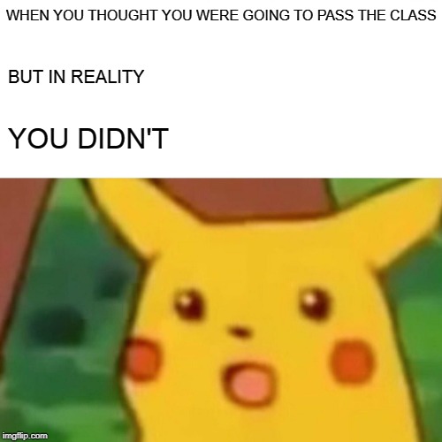 Surprised Pikachu Meme | WHEN YOU THOUGHT YOU WERE GOING TO PASS THE CLASS; BUT IN REALITY; YOU DIDN'T | image tagged in memes,surprised pikachu | made w/ Imgflip meme maker
