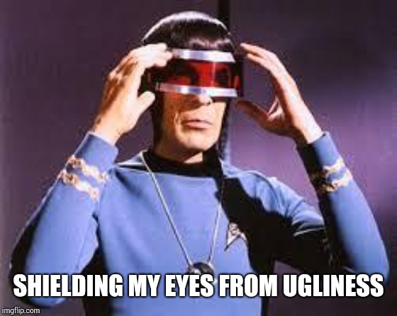Spock with Glasses | SHIELDING MY EYES FROM UGLINESS | image tagged in spock with glasses | made w/ Imgflip meme maker