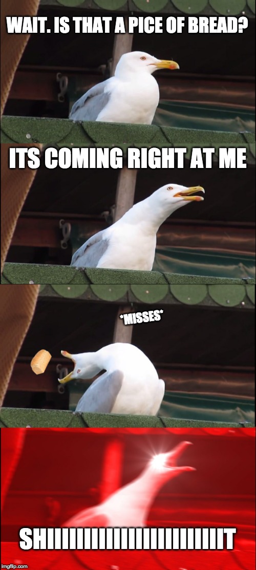 Inhaling Seagull Meme | WAIT. IS THAT A PICE OF BREAD? ITS COMING RIGHT AT ME; *MISSES*; SHIIIIIIIIIIIIIIIIIIIIIIIIT | image tagged in memes,inhaling seagull | made w/ Imgflip meme maker