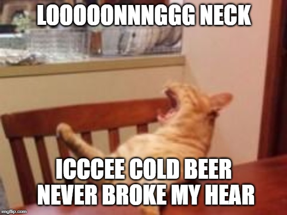 screaming cat | LOOOOONNNGGG NECK; ICCCEE COLD BEER NEVER BROKE MY HEAR | image tagged in screaming cat | made w/ Imgflip meme maker