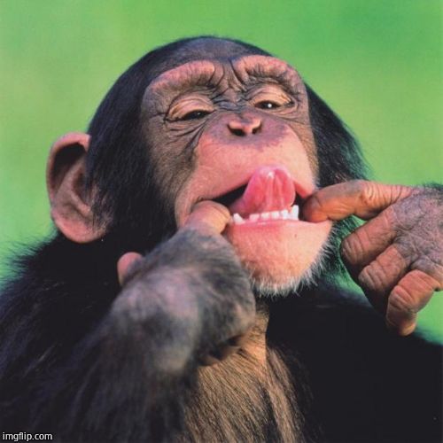 monkey tongue | image tagged in monkey tongue | made w/ Imgflip meme maker