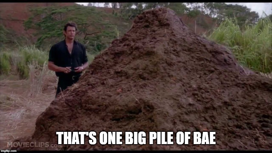 That is one big pile of shit | THAT'S ONE BIG PILE OF BAE | image tagged in that is one big pile of shit | made w/ Imgflip meme maker