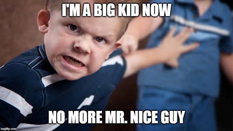I'M A BIG KID NOW; NO MORE MR. NICE GUY | image tagged in dank memes | made w/ Imgflip meme maker