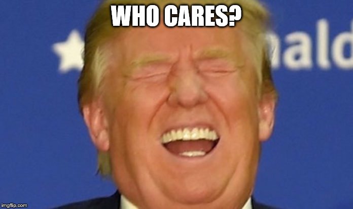 Trump laughing | WHO CARES? | image tagged in trump laughing | made w/ Imgflip meme maker