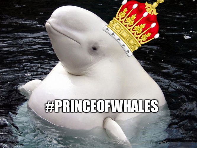 Fat Whale | #PRINCEOFWHALES | image tagged in fat whale | made w/ Imgflip meme maker