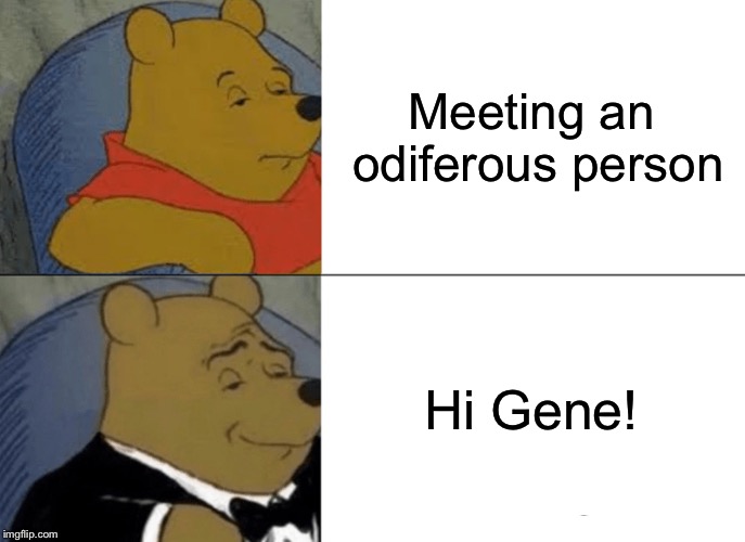 Greetings and smelly salutations! | Meeting an odiferous person; Hi Gene! | image tagged in memes,tuxedo winnie the pooh,smelly,funny | made w/ Imgflip meme maker