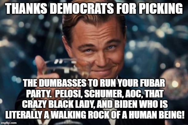 Leonardo Dicaprio Cheers Meme | THANKS DEMOCRATS FOR PICKING; THE DUMBASSES TO RUN YOUR FUBAR PARTY.  PELOSI, SCHUMER, AOC, THAT CRAZY BLACK LADY, AND BIDEN WHO IS LITERALLY A WALKING ROCK OF A HUMAN BEING! | image tagged in memes,leonardo dicaprio cheers | made w/ Imgflip meme maker