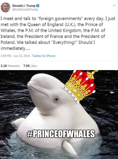 Prince of Whales | image tagged in whales,donald trump,trump,impeach trump,impeach,twitter | made w/ Imgflip meme maker