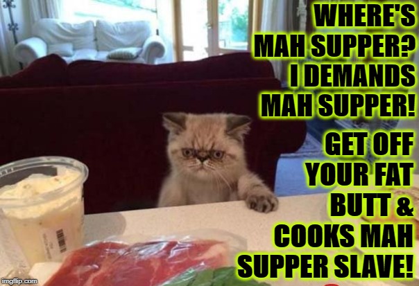 WHERE'S MAH SUPPER | WHERE'S MAH SUPPER? I DEMANDS MAH SUPPER! GET OFF YOUR FAT BUTT & COOKS MAH SUPPER SLAVE! | image tagged in where's mah supper | made w/ Imgflip meme maker