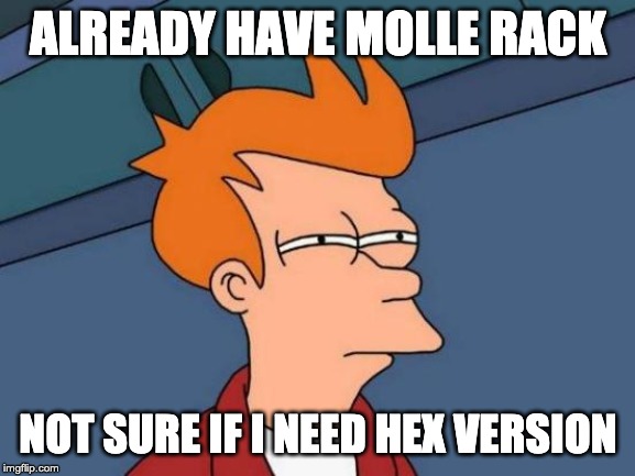 Futurama Fry Meme | ALREADY HAVE MOLLE RACK; NOT SURE IF I NEED HEX VERSION | image tagged in memes,futurama fry | made w/ Imgflip meme maker