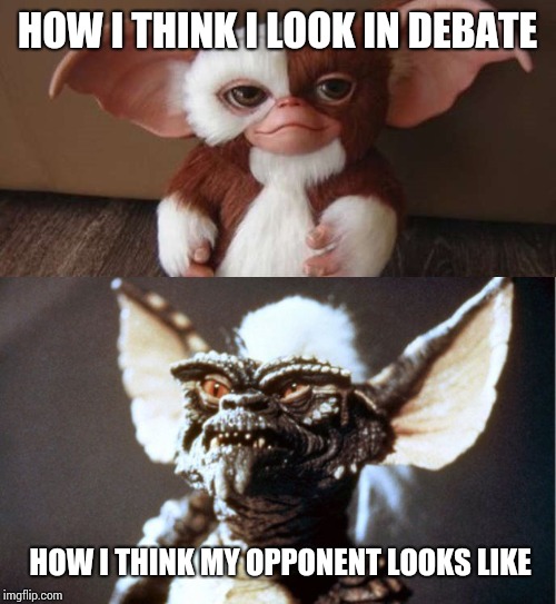 When You Think You're Getting Gizmo But There Stripe In Disguise | HOW I THINK I LOOK IN DEBATE; HOW I THINK MY OPPONENT LOOKS LIKE | image tagged in when you think you're getting gizmo but there stripe in disguise | made w/ Imgflip meme maker