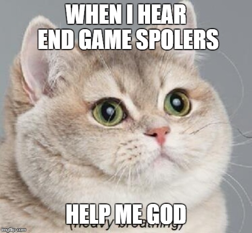 Heavy Breathing Cat | WHEN I HEAR END GAME SPOLERS; HELP ME GOD | image tagged in memes,heavy breathing cat | made w/ Imgflip meme maker