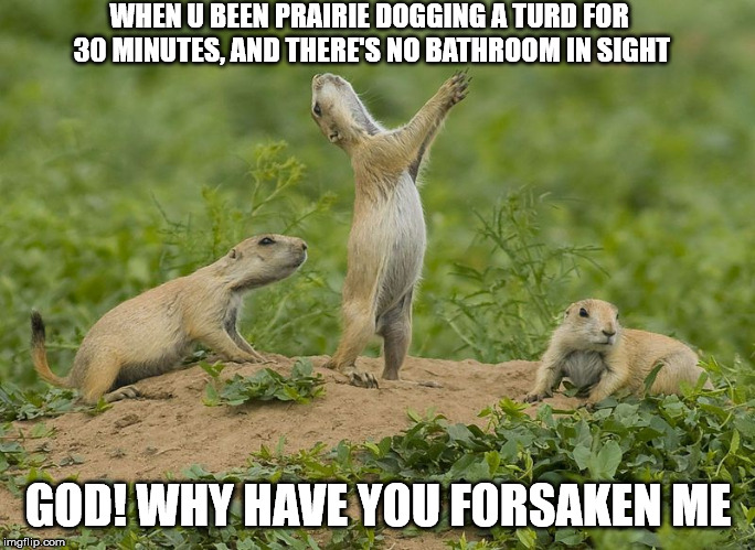 When u been prairie dogging a turd for 30 minutes, and there's no bathroom in sight. | WHEN U BEEN PRAIRIE DOGGING A TURD FOR 30 MINUTES, AND THERE'S NO BATHROOM IN SIGHT; GOD! WHY HAVE YOU FORSAKEN ME | image tagged in funny,yo-yo,prairie doggin,lol,fun | made w/ Imgflip meme maker