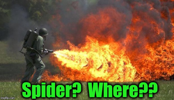 Flame thrower | Spider?  Where?? | image tagged in flame thrower | made w/ Imgflip meme maker