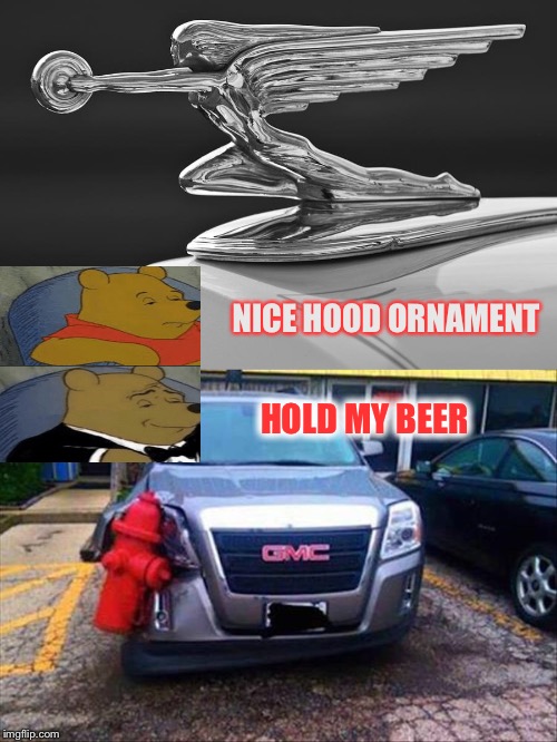 Red matches nicely. | NICE HOOD ORNAMENT; HOLD MY BEER | image tagged in tuxedo winnie the pooh,cars,memes,funny | made w/ Imgflip meme maker