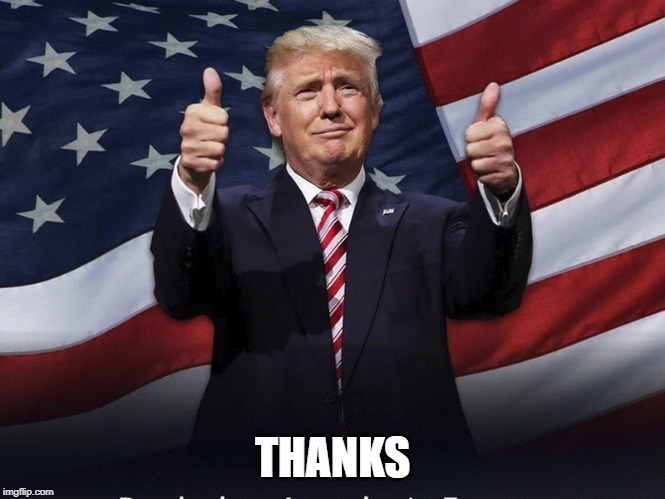 Donald Trump Thumbs Up | THANKS | image tagged in donald trump thumbs up | made w/ Imgflip meme maker