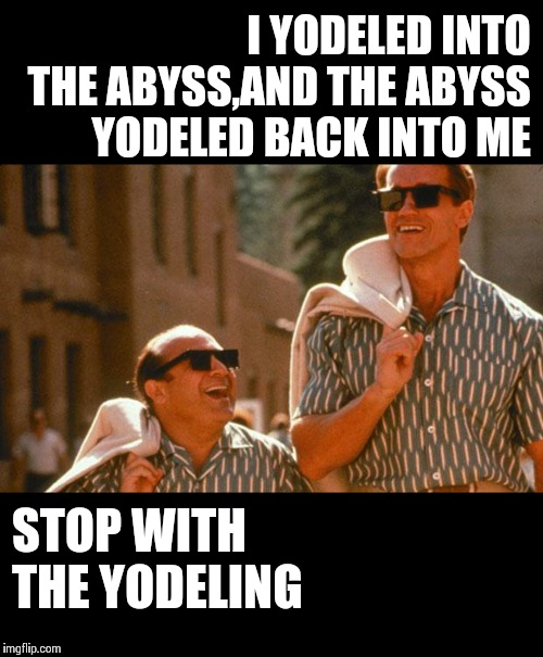 Twins | I YODELED INTO THE ABYSS,AND THE ABYSS YODELED BACK INTO ME; STOP WITH THE YODELING | image tagged in twins,memes,frontpage,danny devito,nietzsche,arnold schwarzenegger | made w/ Imgflip meme maker