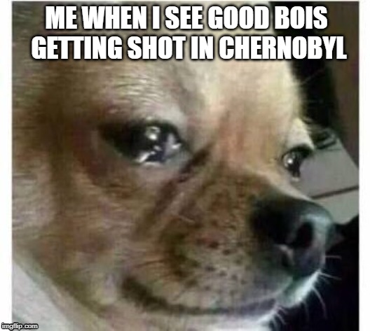 crying dog | ME WHEN I SEE GOOD BOIS GETTING SHOT IN CHERNOBYL | image tagged in crying dog | made w/ Imgflip meme maker