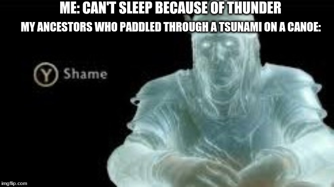 Y (Shame) | ME: CAN'T SLEEP BECAUSE OF THUNDER; MY ANCESTORS WHO PADDLED THROUGH A TSUNAMI ON A CANOE: | image tagged in y shame | made w/ Imgflip meme maker