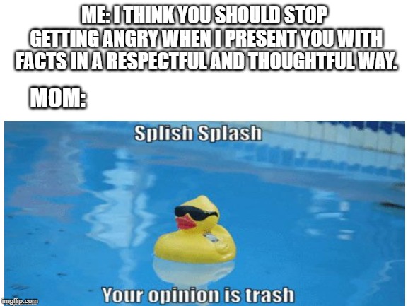 Splish Splash | ME: I THINK YOU SHOULD STOP GETTING ANGRY WHEN I PRESENT YOU WITH FACTS IN A RESPECTFUL AND THOUGHTFUL WAY. MOM: | image tagged in memes,duck,mom,funny,lol,funny memes | made w/ Imgflip meme maker
