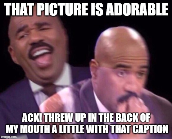Steve Harvey Laughing Serious | THAT PICTURE IS ADORABLE ACK! THREW UP IN THE BACK OF MY MOUTH A LITTLE WITH THAT CAPTION | image tagged in steve harvey laughing serious | made w/ Imgflip meme maker