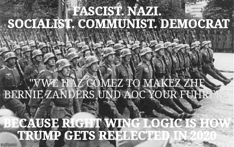 German Soldiers Marching | FASCIST. NAZI. SOCIALIST. COMMUNIST. DEMOCRAT "VWE HAZ COMEZ TO MAKEZ ZHE BERNIE ZANDERS UND AOC YOUR FUHRERZ" BECAUSE RIGHT WING LOGIC IS H | image tagged in german soldiers marching | made w/ Imgflip meme maker