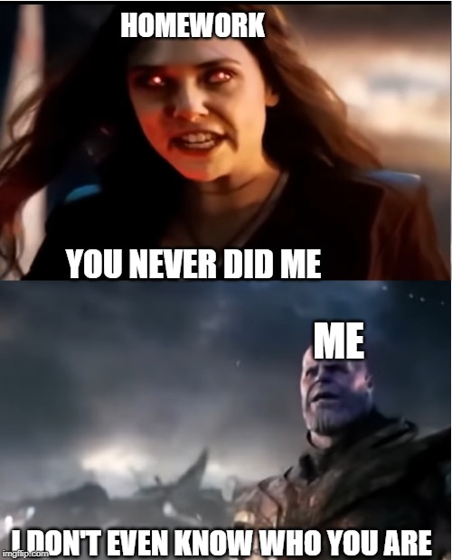 Thanos I don't even know who you are | HOMEWORK; YOU NEVER DID ME; ME; I DON'T EVEN KNOW WHO YOU ARE | image tagged in thanos i don't even know who you are | made w/ Imgflip meme maker