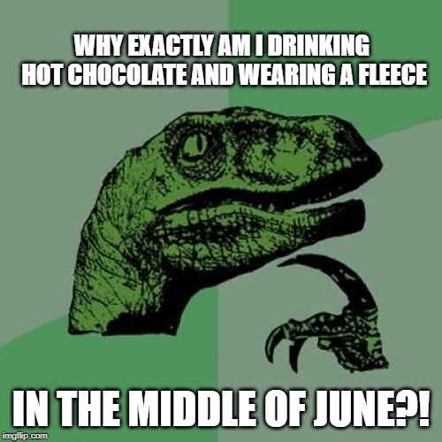 Cold in summer | WHY EXACTLY AM I DRINKING HOT CHOCOLATE AND WEARING A FLEECE; IN THE MIDDLE OF JUNE?! | image tagged in memes,philosoraptor | made w/ Imgflip meme maker