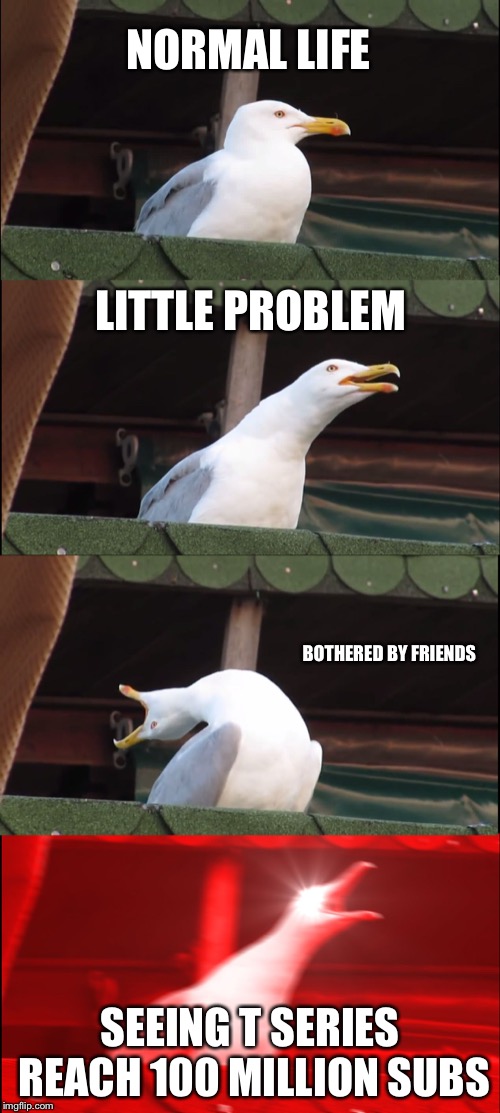 NORMAL LIFE LITTLE PROBLEM BOTHERED BY FRIENDS SEEING T SERIES REACH 100 MILLION SUBS | image tagged in memes,inhaling seagull | made w/ Imgflip meme maker