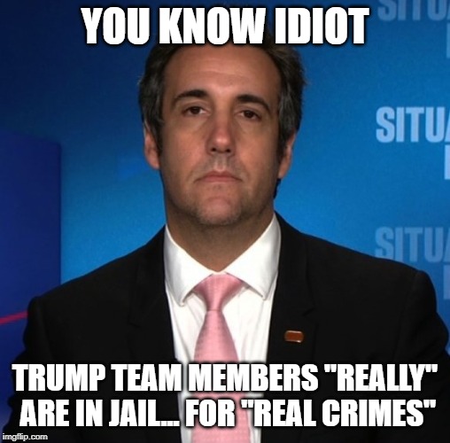 michael cohen | YOU KNOW IDIOT TRUMP TEAM MEMBERS "REALLY" ARE IN JAIL... FOR "REAL CRIMES" | image tagged in michael cohen | made w/ Imgflip meme maker