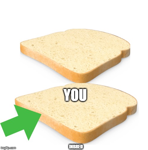 blank | YOU; INBRED | image tagged in blank | made w/ Imgflip meme maker