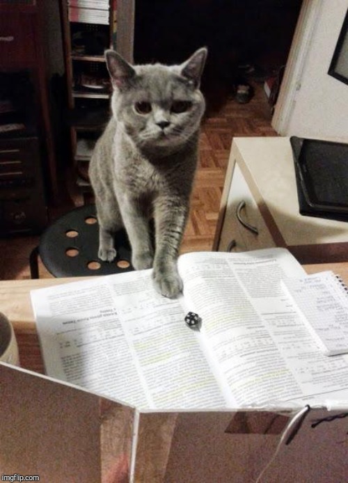 RPG cat | image tagged in rpg cat | made w/ Imgflip meme maker