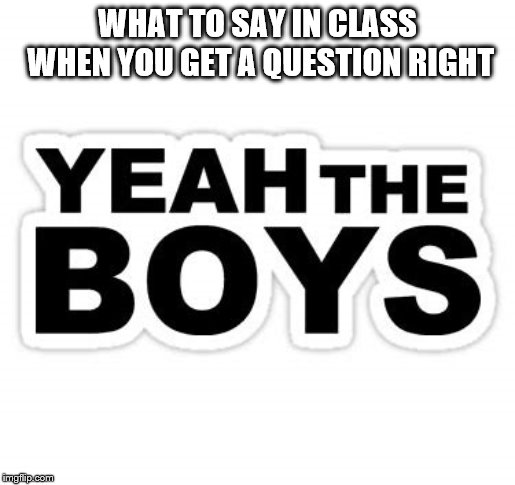 Education Memes-Boys | WHAT TO SAY IN CLASS WHEN YOU GET A QUESTION RIGHT | image tagged in funny memes | made w/ Imgflip meme maker
