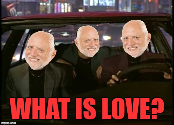 what is love snl | WHAT IS LOVE? | image tagged in what is love snl | made w/ Imgflip meme maker