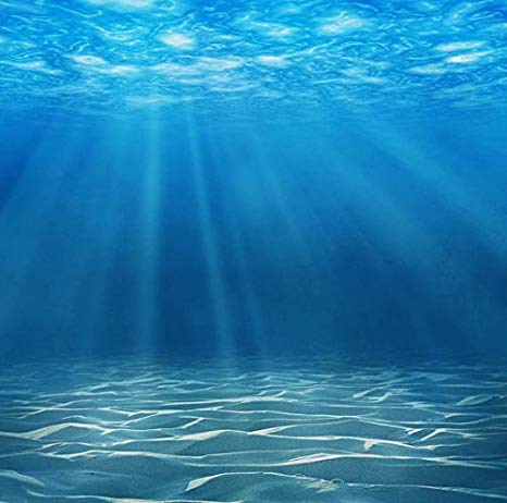 Under the sea Blank Meme Template