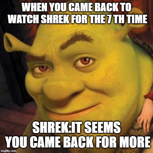Shrek Sexy Face | WHEN YOU CAME BACK TO WATCH SHREK FOR THE 7 TH TIME; SHREK:IT SEEMS YOU CAME BACK FOR MORE | image tagged in shrek sexy face | made w/ Imgflip meme maker