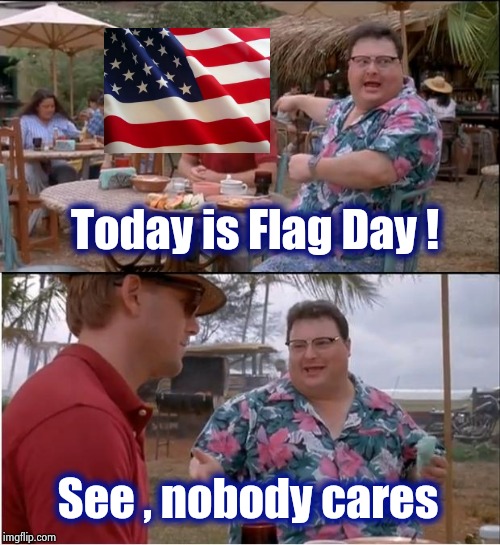Hang up your Flag then go about your business | Today is Flag Day ! See , nobody cares | image tagged in memes,see nobody cares,american flag,holiday,a few good men,working | made w/ Imgflip meme maker