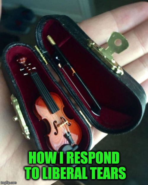 I'm not really this dismissive, but extremity breeds extremity | HOW I RESPOND TO LIBERAL TEARS | image tagged in world's smallest violin | made w/ Imgflip meme maker