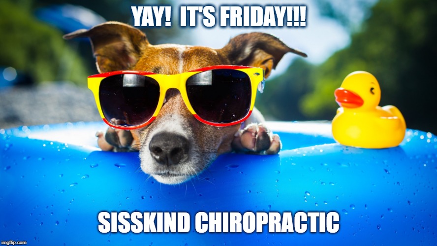 Yay!  It's Friday!!! | YAY!  IT'S FRIDAY!!! SISSKIND CHIROPRACTIC | image tagged in yay it's friday | made w/ Imgflip meme maker