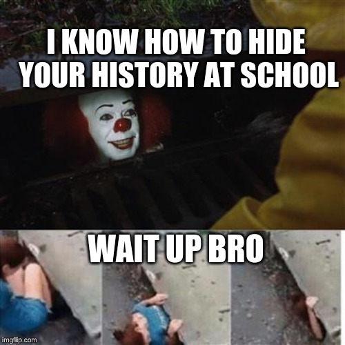 pennywise in sewer | I KNOW HOW TO HIDE YOUR HISTORY AT SCHOOL; WAIT UP BRO | image tagged in pennywise in sewer | made w/ Imgflip meme maker